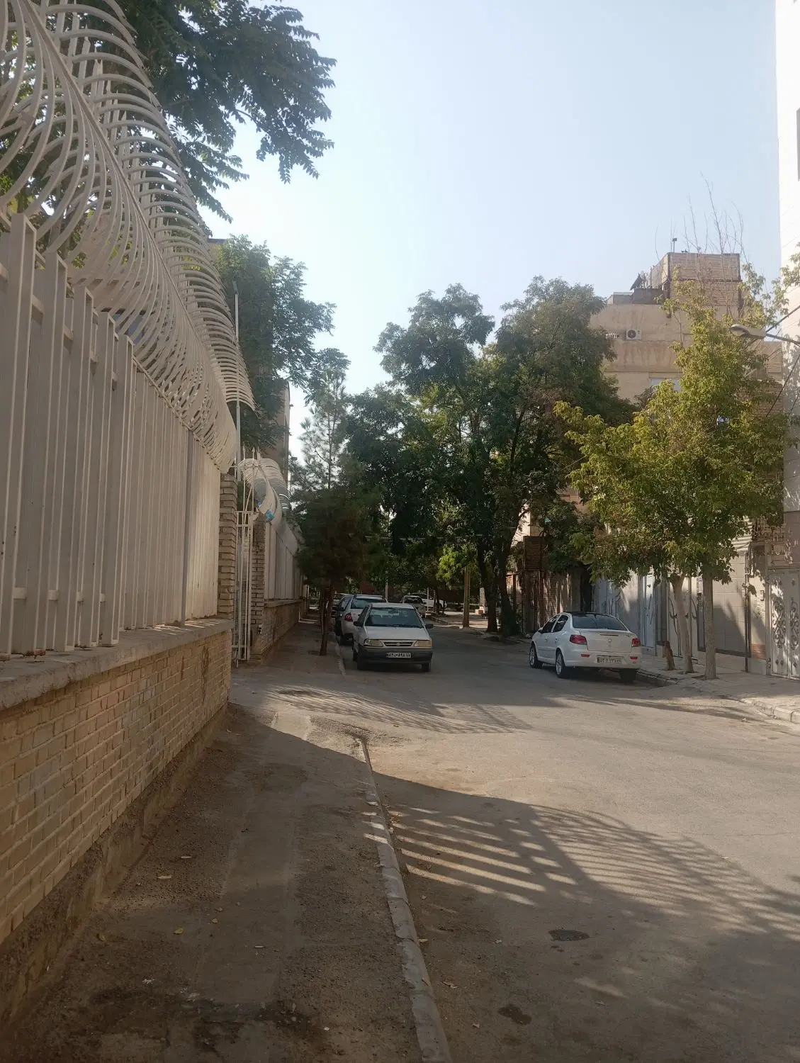 ۸۵متر ی نرسیده به میدان امام حسین  میرزایی۸