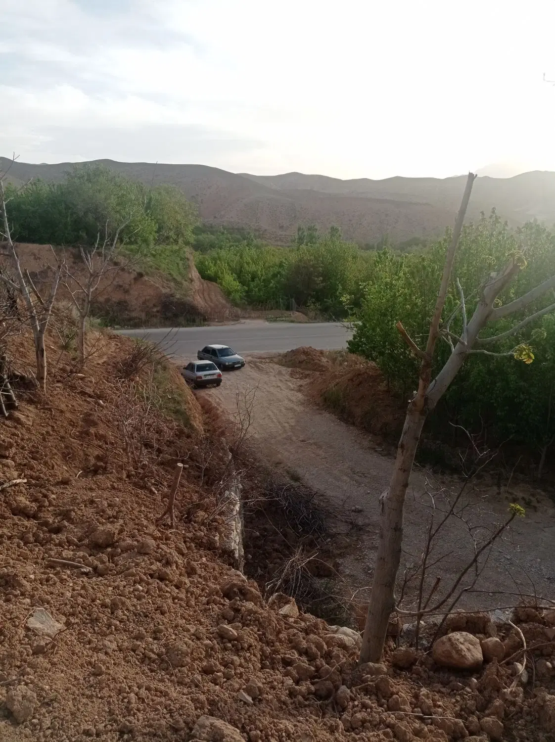 فروش باغ