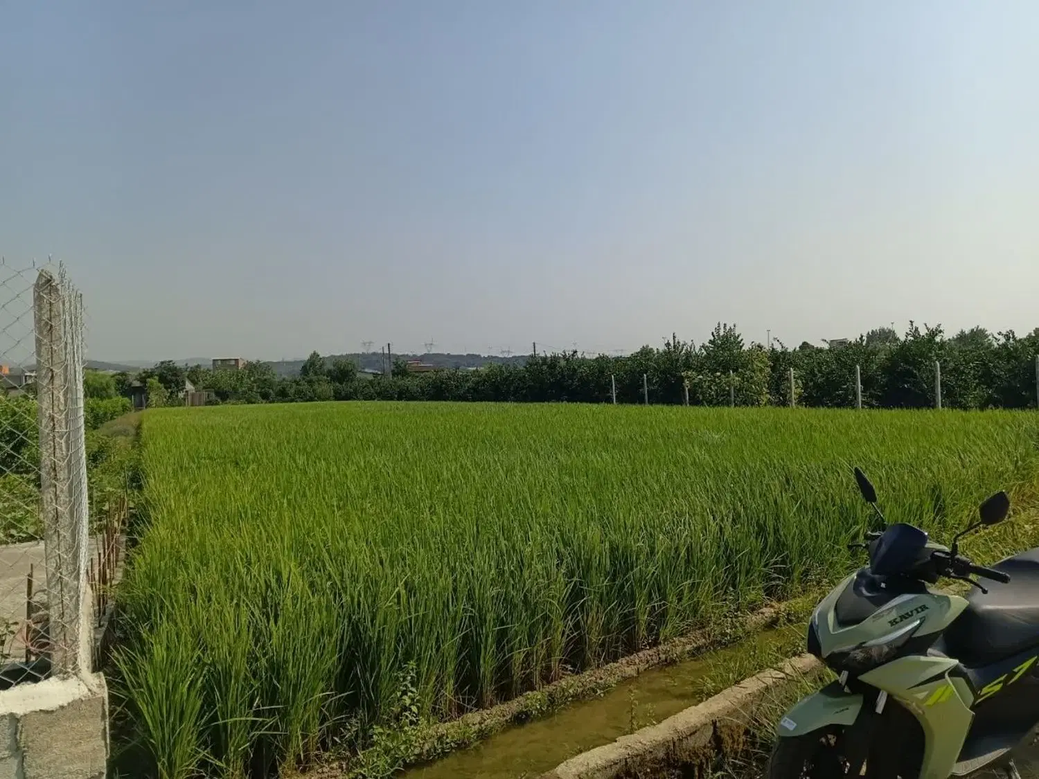 فروش زمین