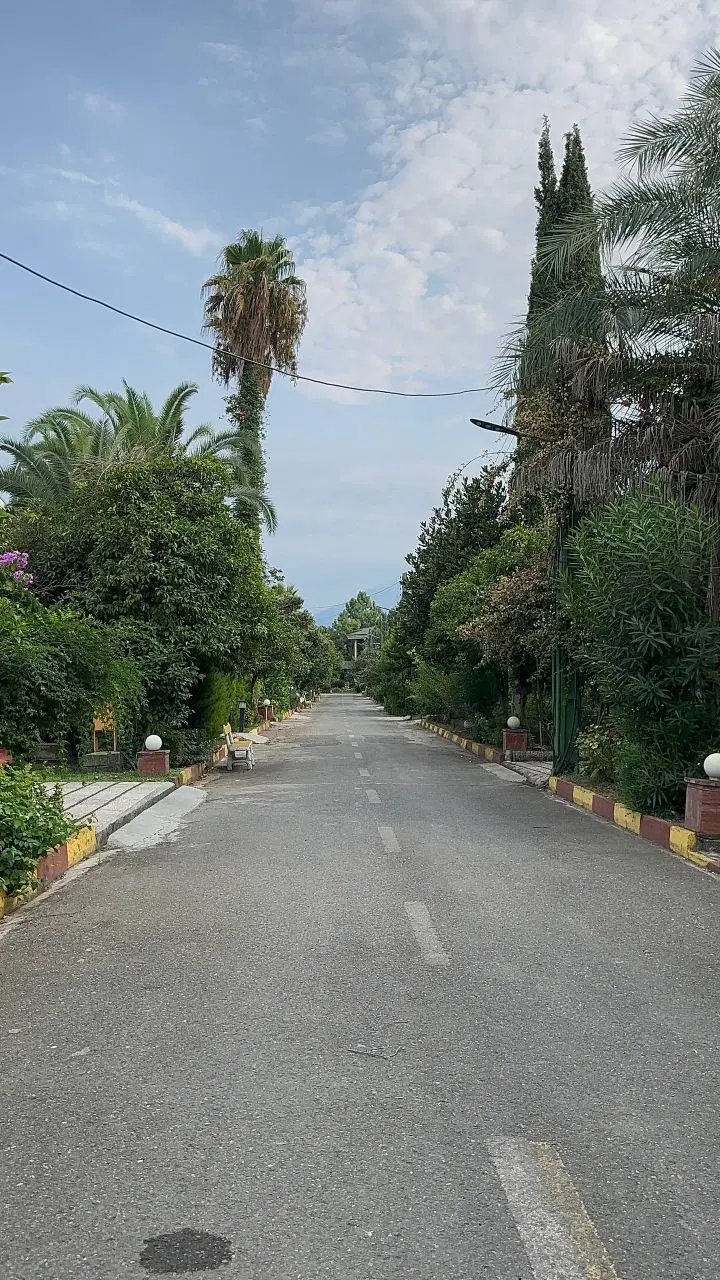 دوبلکس*چسب جنگل_سند تکبرگ_۵۸۰ متری
