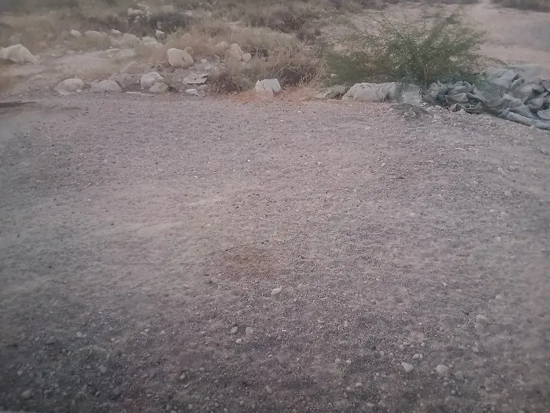 زمین طرح فرزند آوری