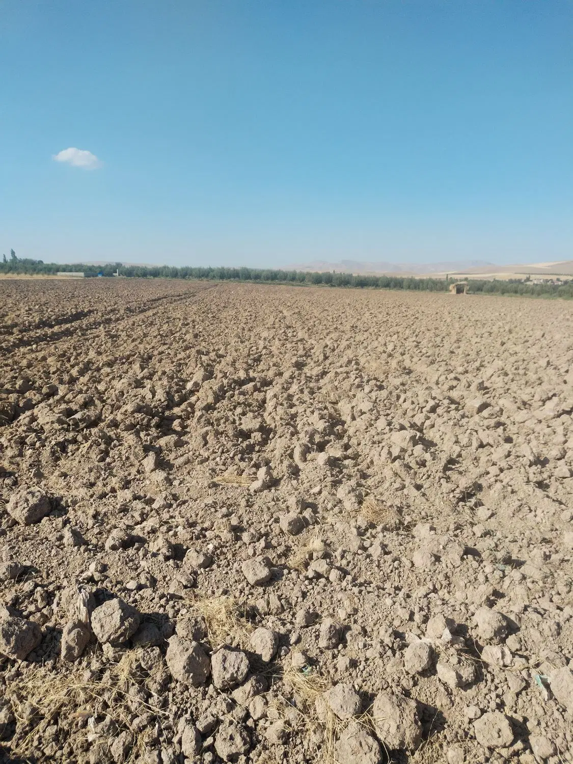زمین کشاورزی و صنعتی ارومیه دزگیر 20000