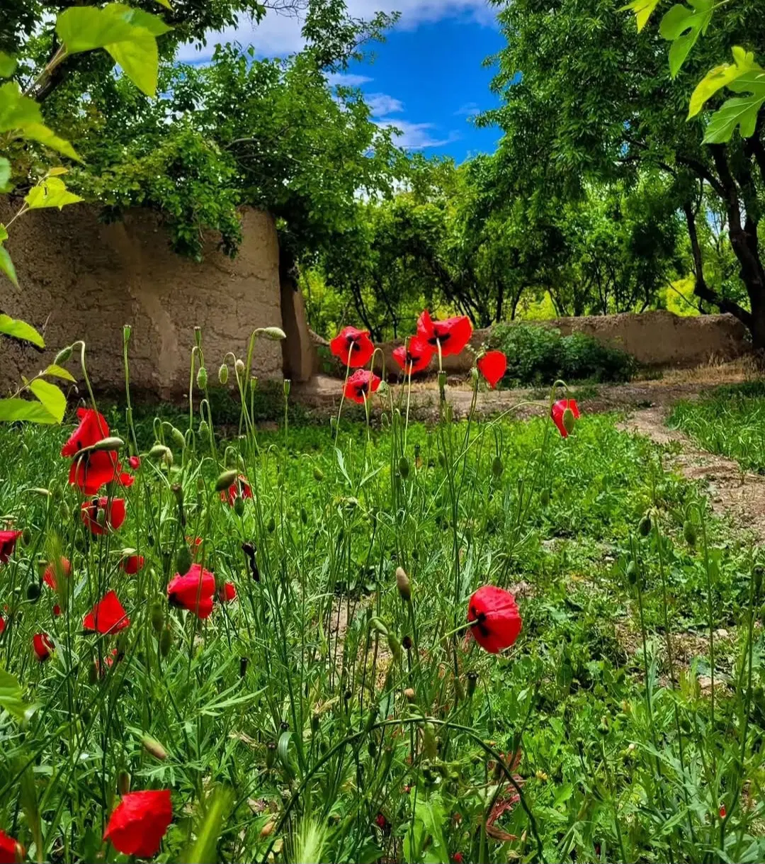 زمین طزرجان در همه ابعاد