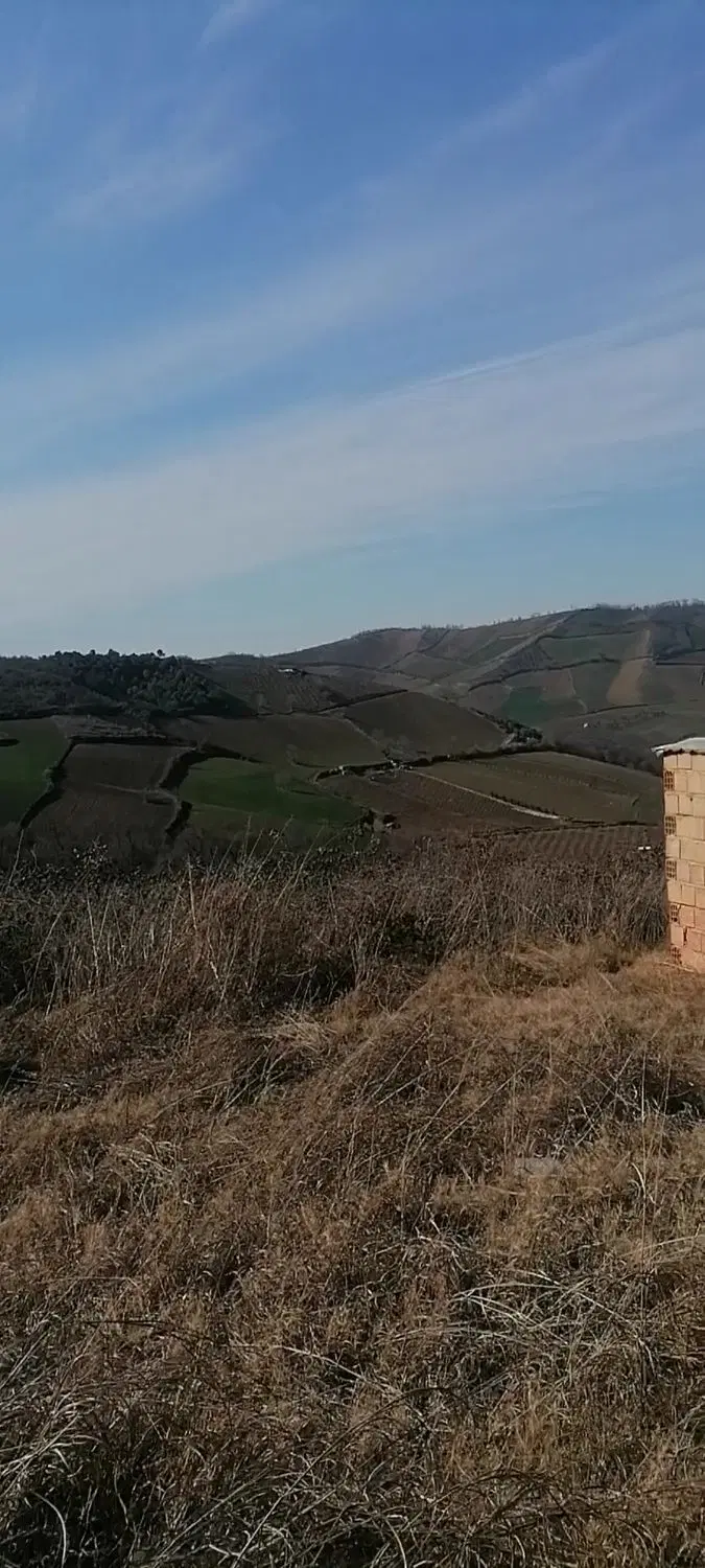 1000مترخونه باغ دربهترین نقطه روستای نومل