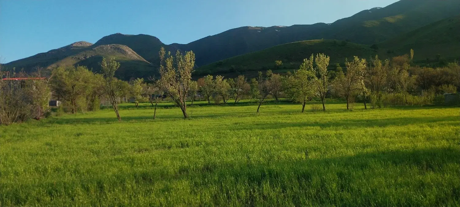 زمین کشاورزی واقع در روستای ملکشان