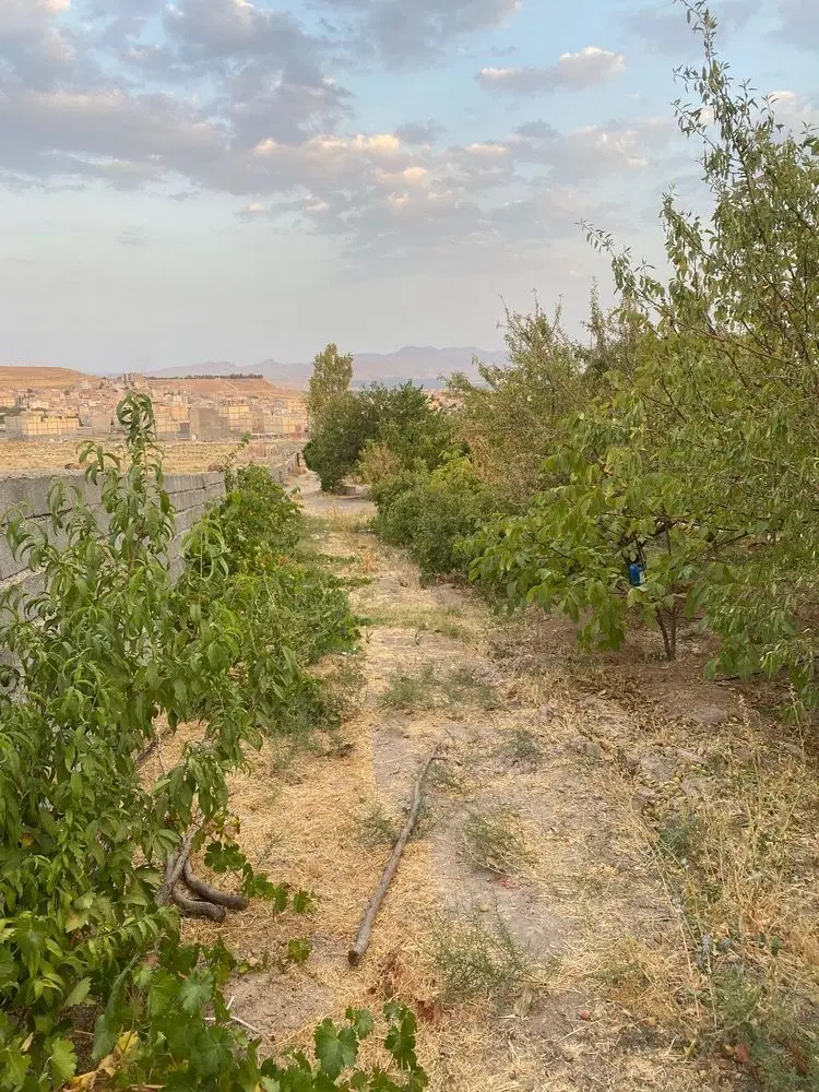 باغ ویلایی