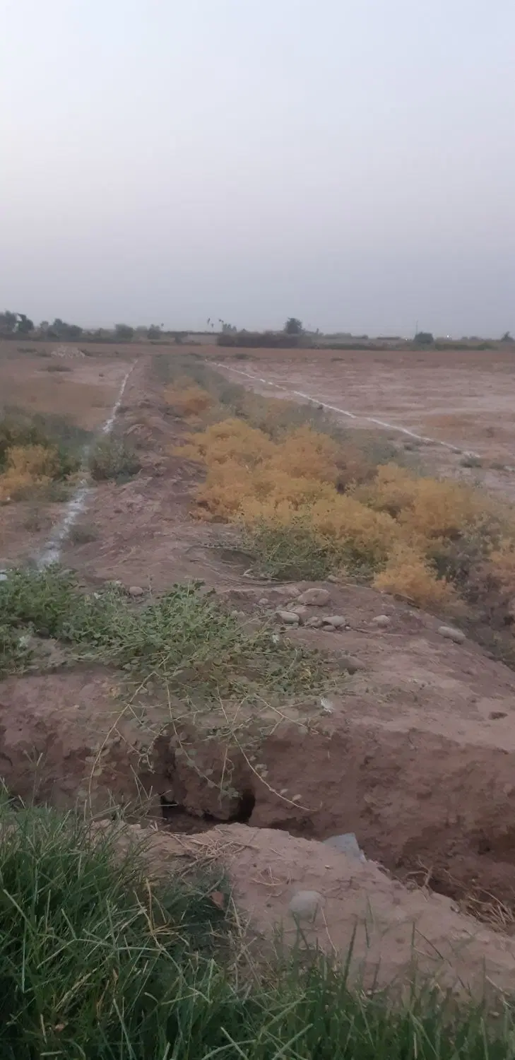 زمین قطعه بندی شده موقعیت مکانی خوب