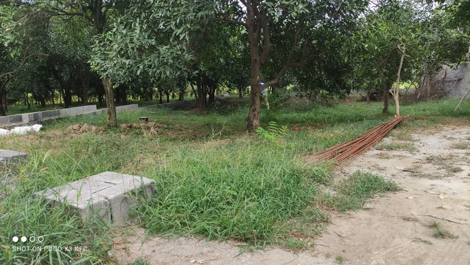 فروش زمین