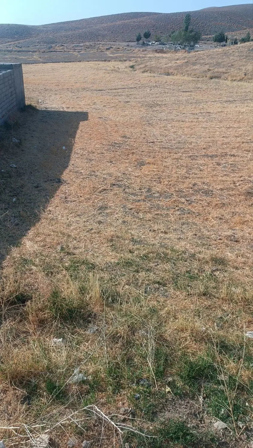 فروش زمین