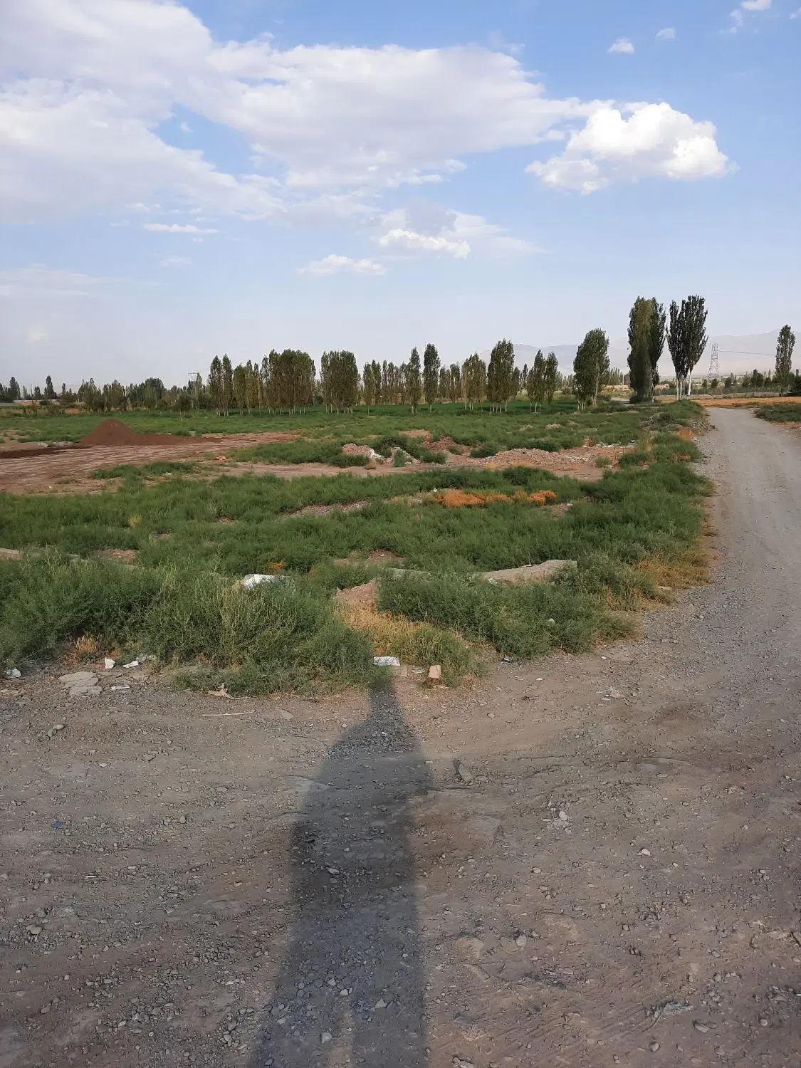 زمین بر جاده اصلی