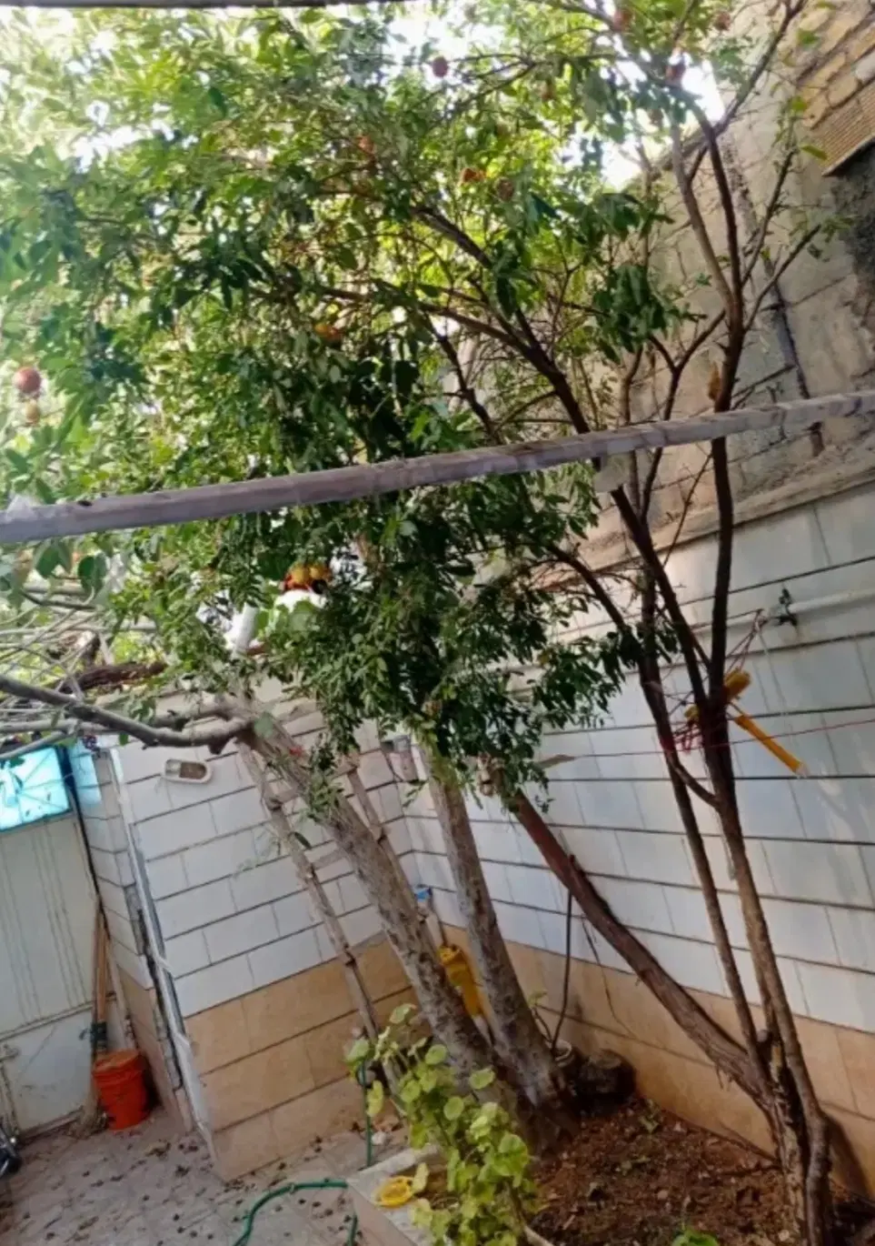 خونه ی ویلایی اجاره در فرخشهر