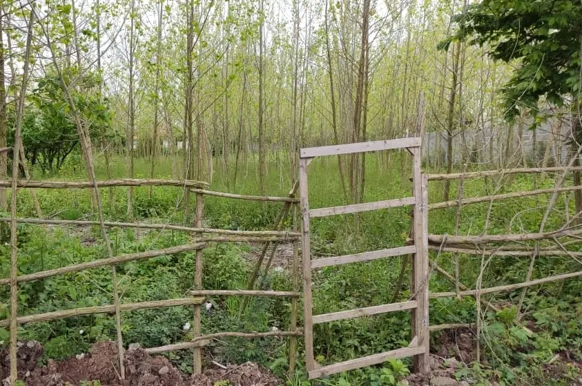 زمین۳۳۰ متر در ۶۰۰ متری دریا