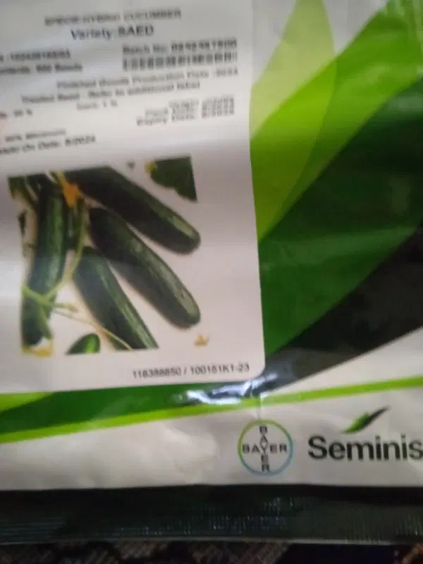 اجاره 1300متر گلخانه