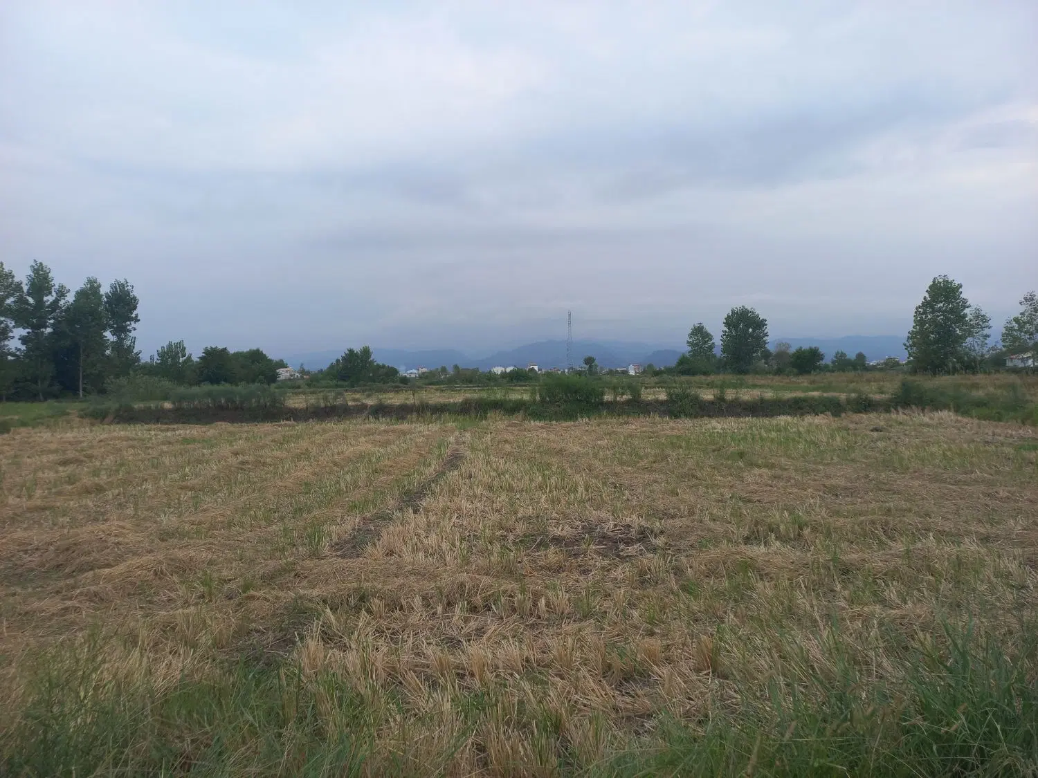 زمین کشاورزی سنتی ۲۵۰۰مترراهواب داردرضوانشهرگیلان