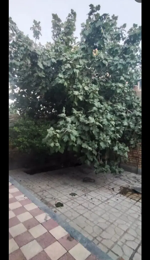 ویلایی با سوییت کامل فوری زیر قیمت کارشناسی