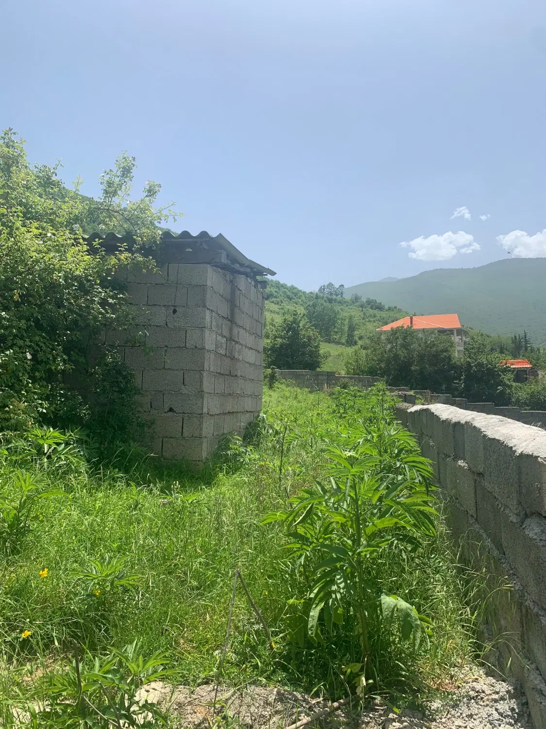 زمین در کلاردشت پی قلعه خیابان ورزش