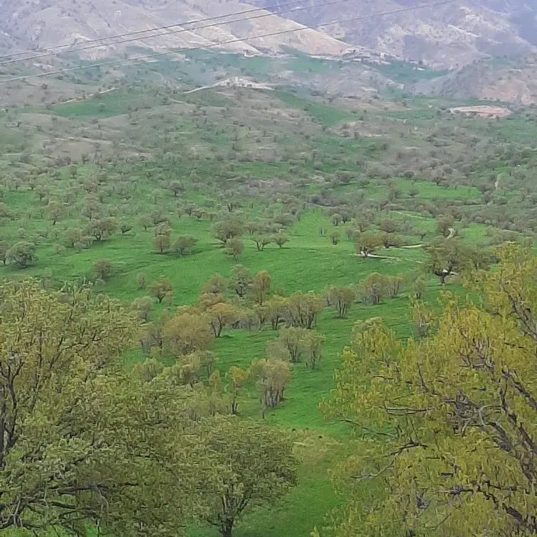 زمین تفکیک شهرداری پارک خطی