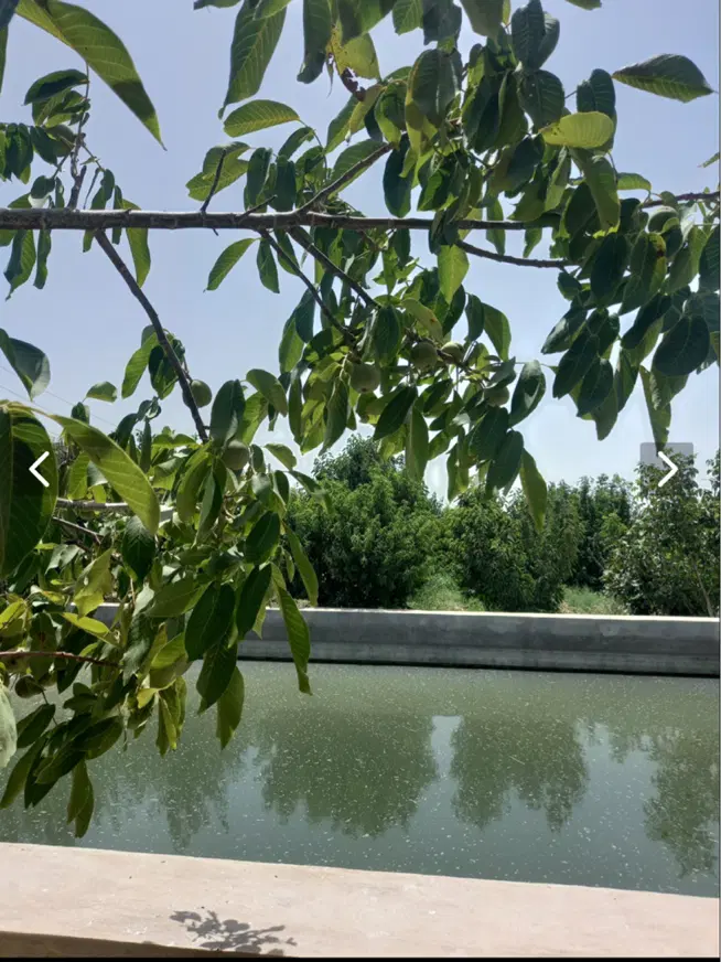 باغ چهار دیواری مناسب سرمایه گذاری