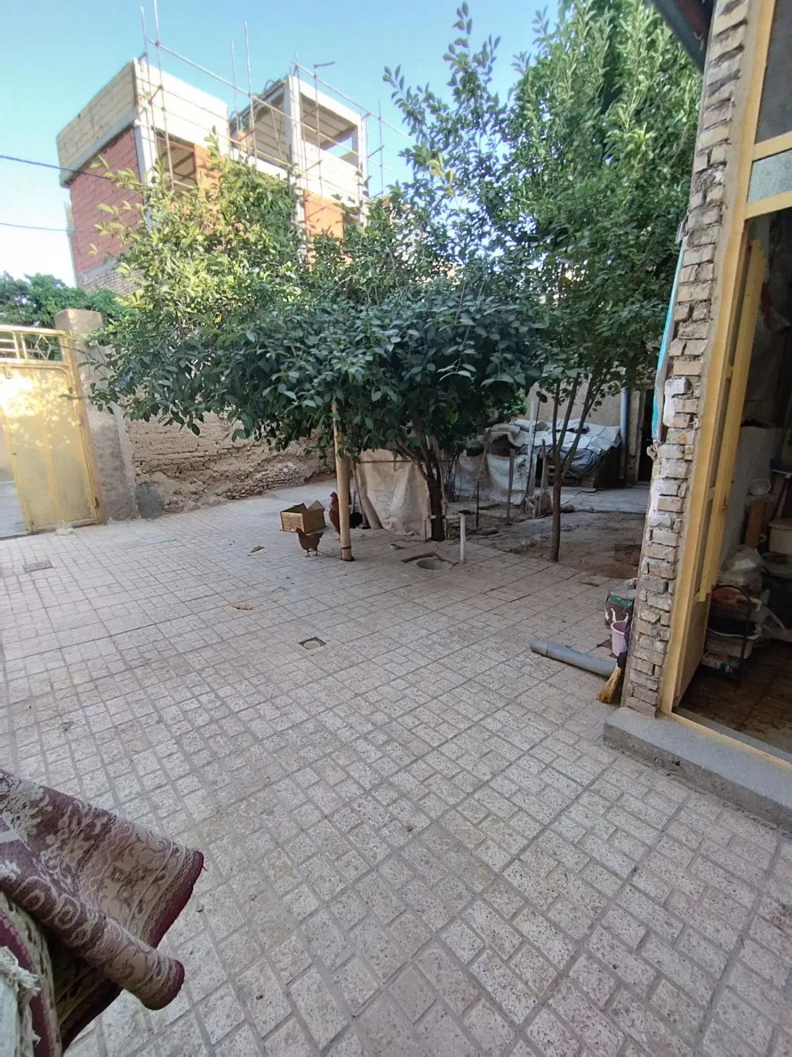 ملک کلنگی مرکز شهر
