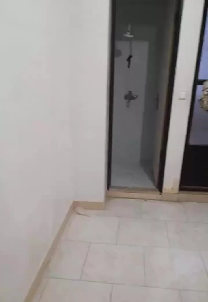 واحد فروشی ۵۳ متری