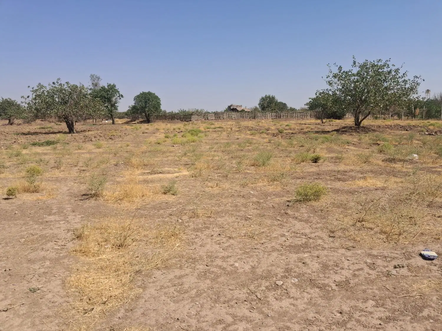 زمین زراعی نزدیک شهر