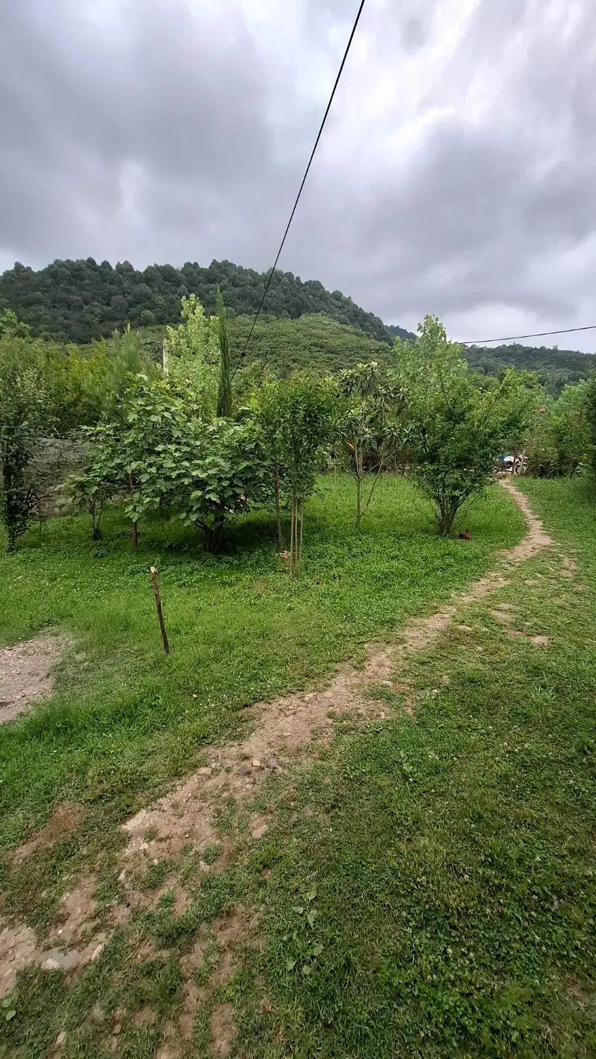 زمین مسکونی