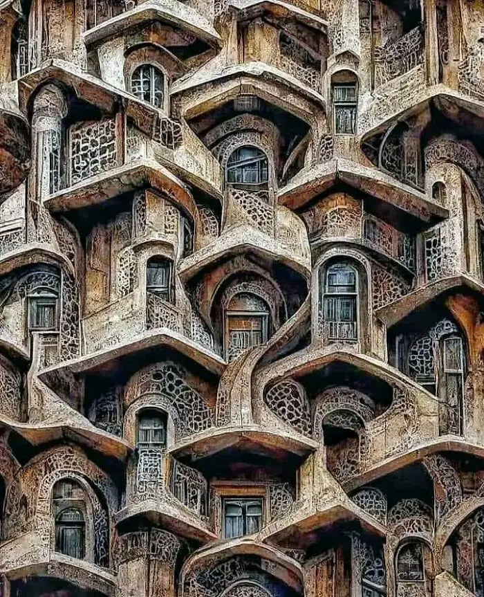 همخانه فقط و فقط خانم
