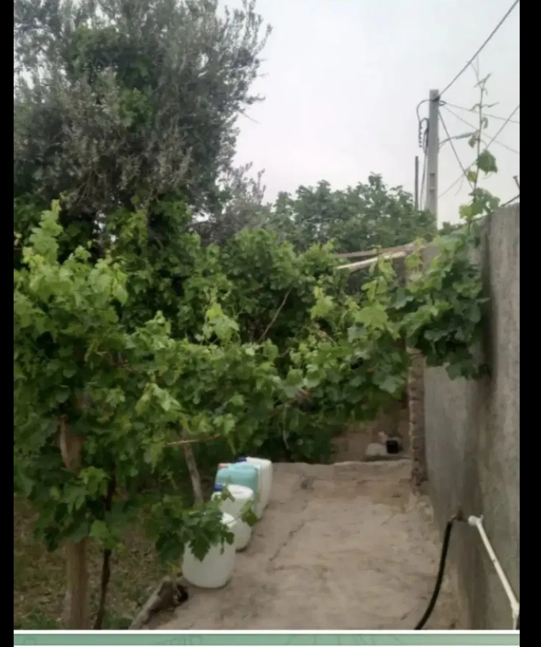 2900 متر باغ و خانه ویلایی واقع در گرمسار
