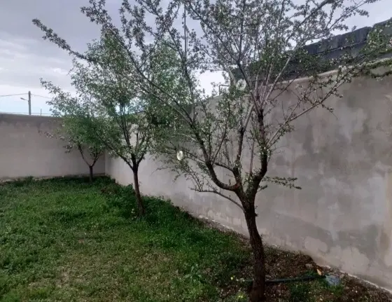 خونه باغ در سنگستان