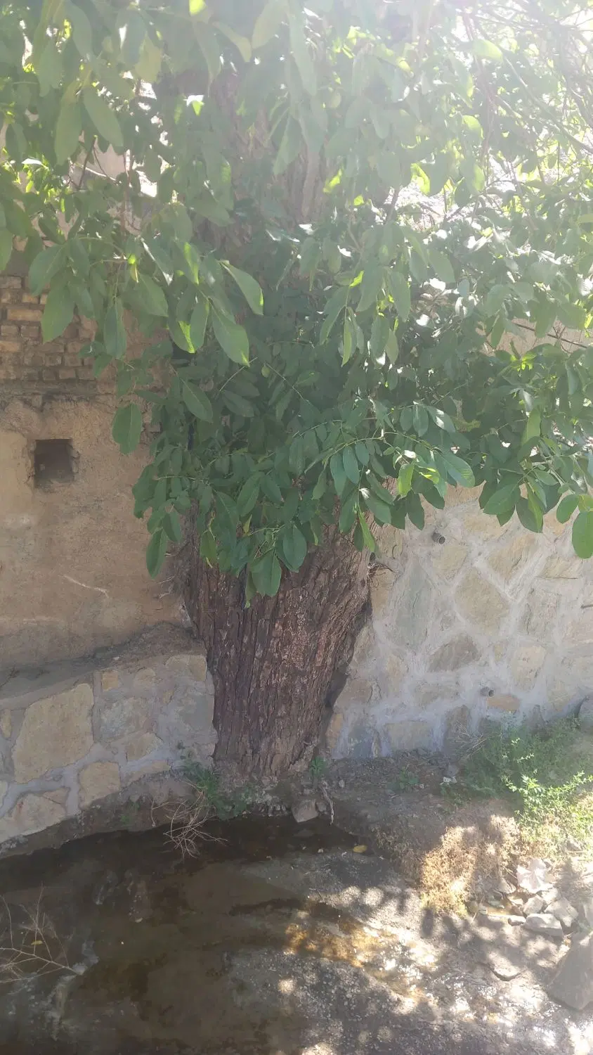پیش فروش مسکنمهر گلبهار
