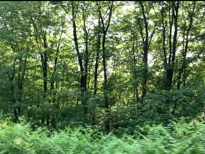 زمین مناسب برای کافه و بوم گردی