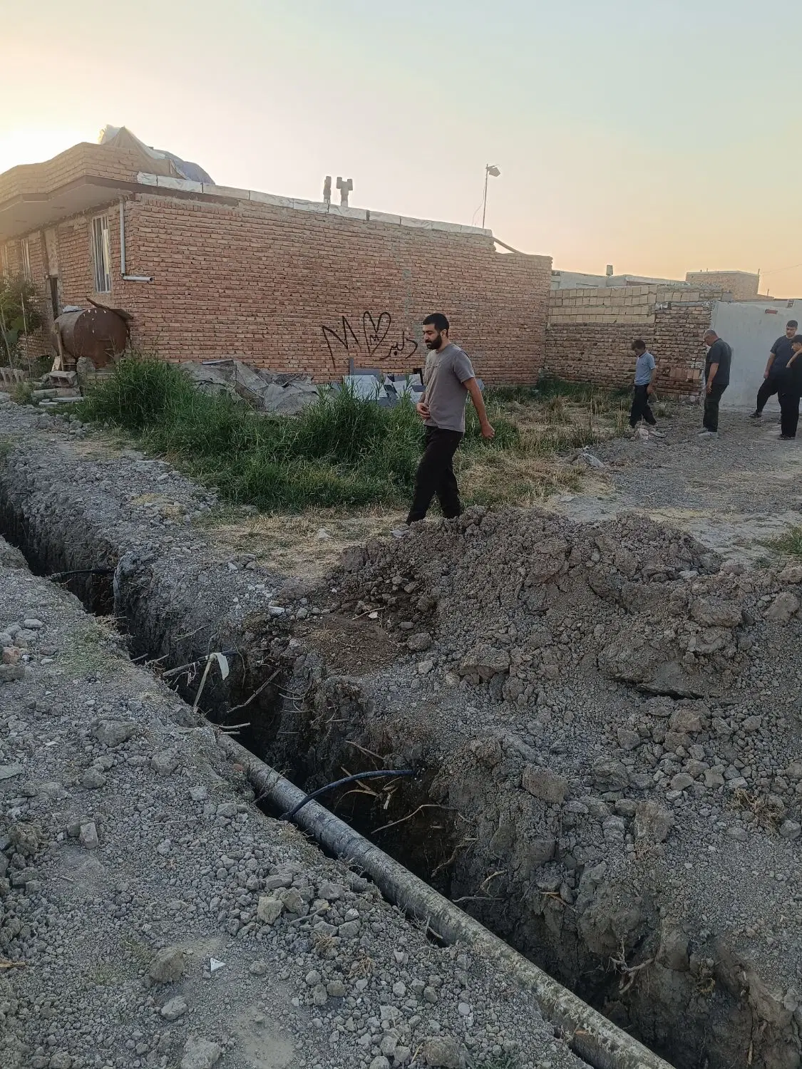 زمین رشادت