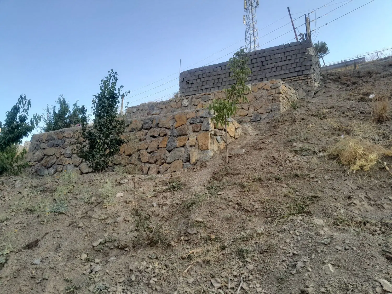 زمین ۱۹۵ متر