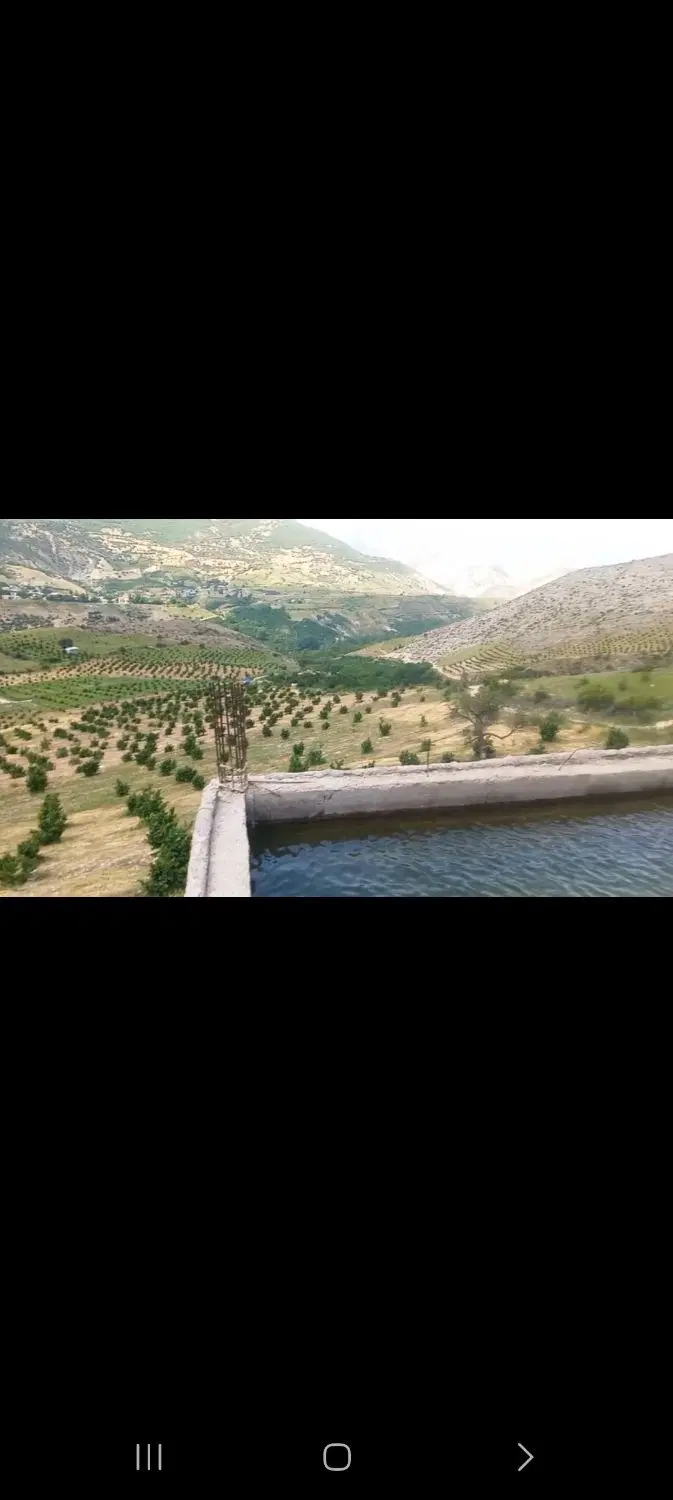 ۳هکتارباغ مرکبات فندق گردوسندتک برگ