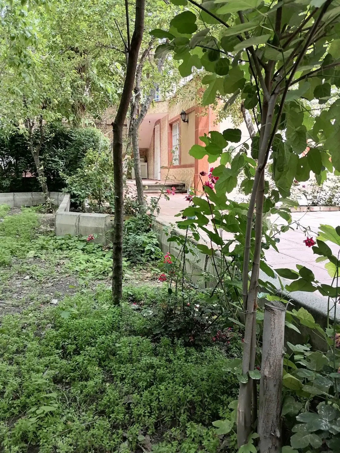 منزل اجاره ایی