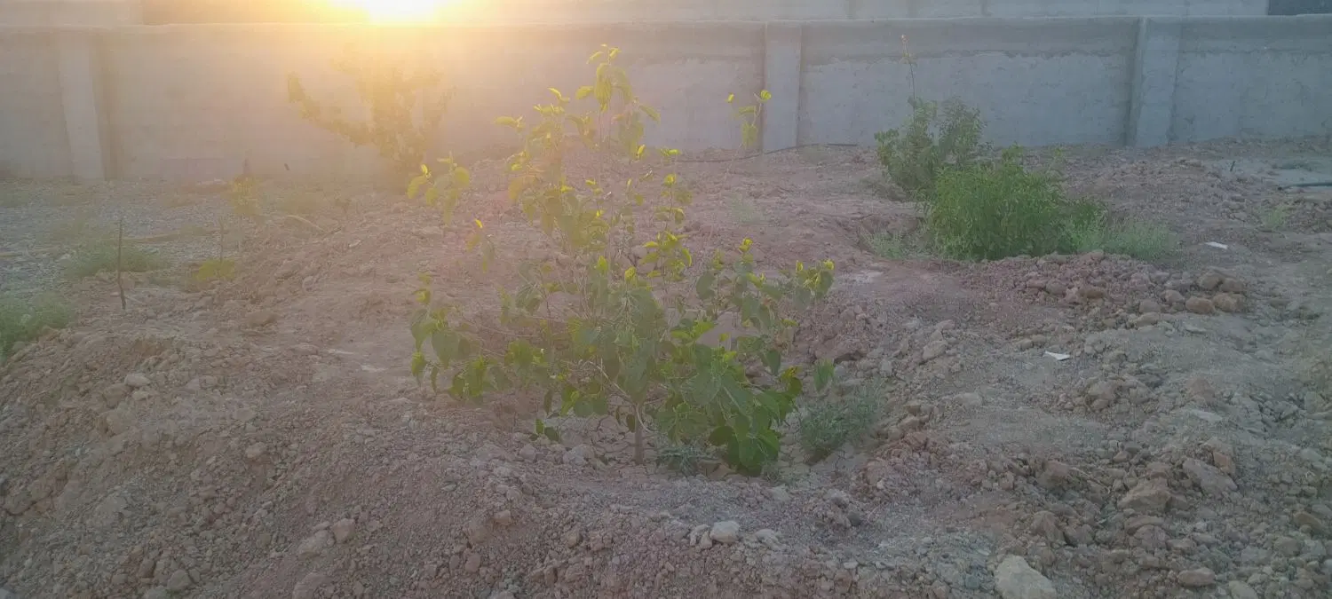 فروش
