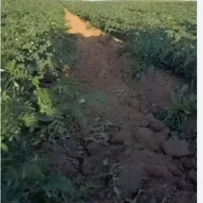 زمین عمرمل بر جاده اصلی