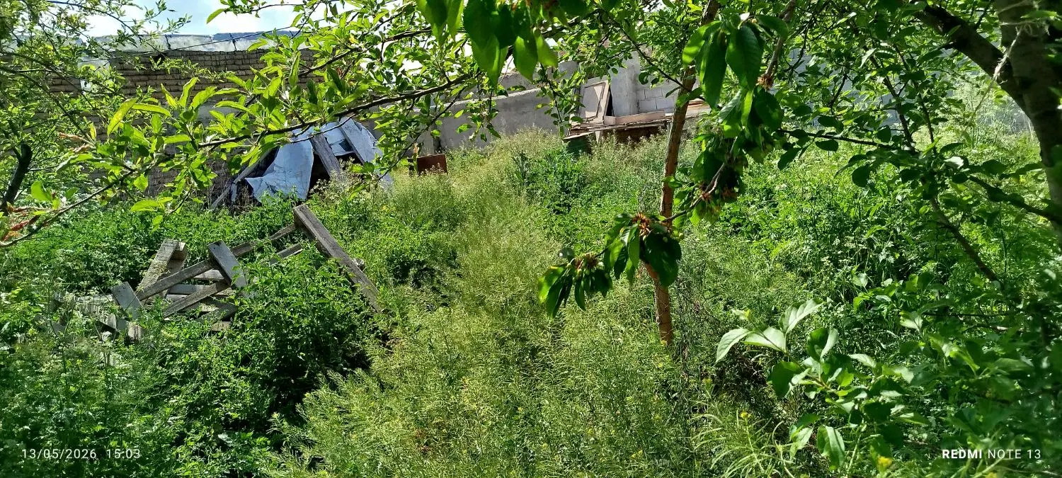 باغ و ملک مسکونی