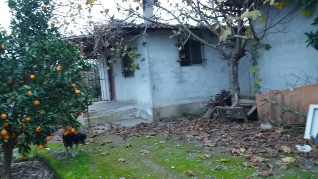 ۵۹۰۰ متر زمین کشاورزی بهنمیر سند دار و برق