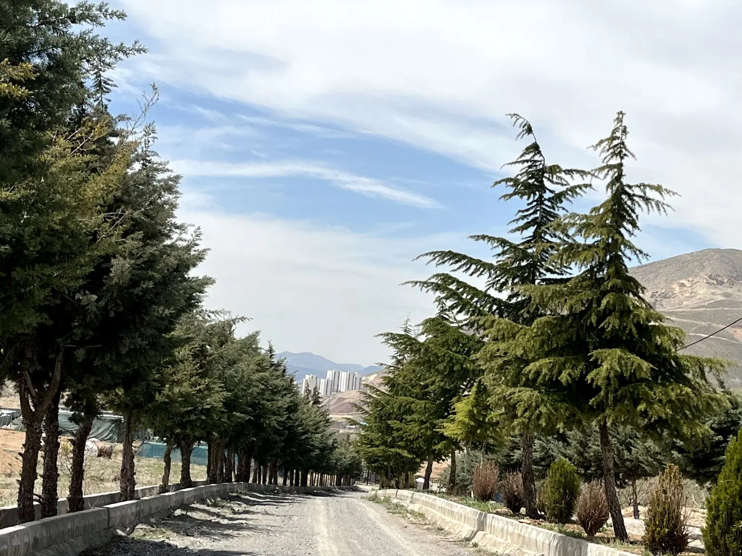 زمین شهرکی دهکده آرامش لواسان _ سند تک‌برگ_ پورزند