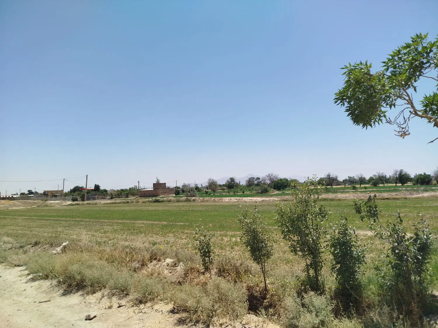 فروش زمین کشاورزی سند دار