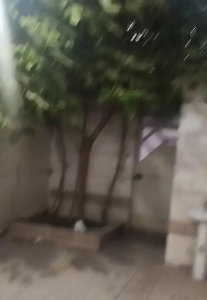 اجاره خونه ویلایی حیات دار ۱۴۰ متری دو خوابه همکف