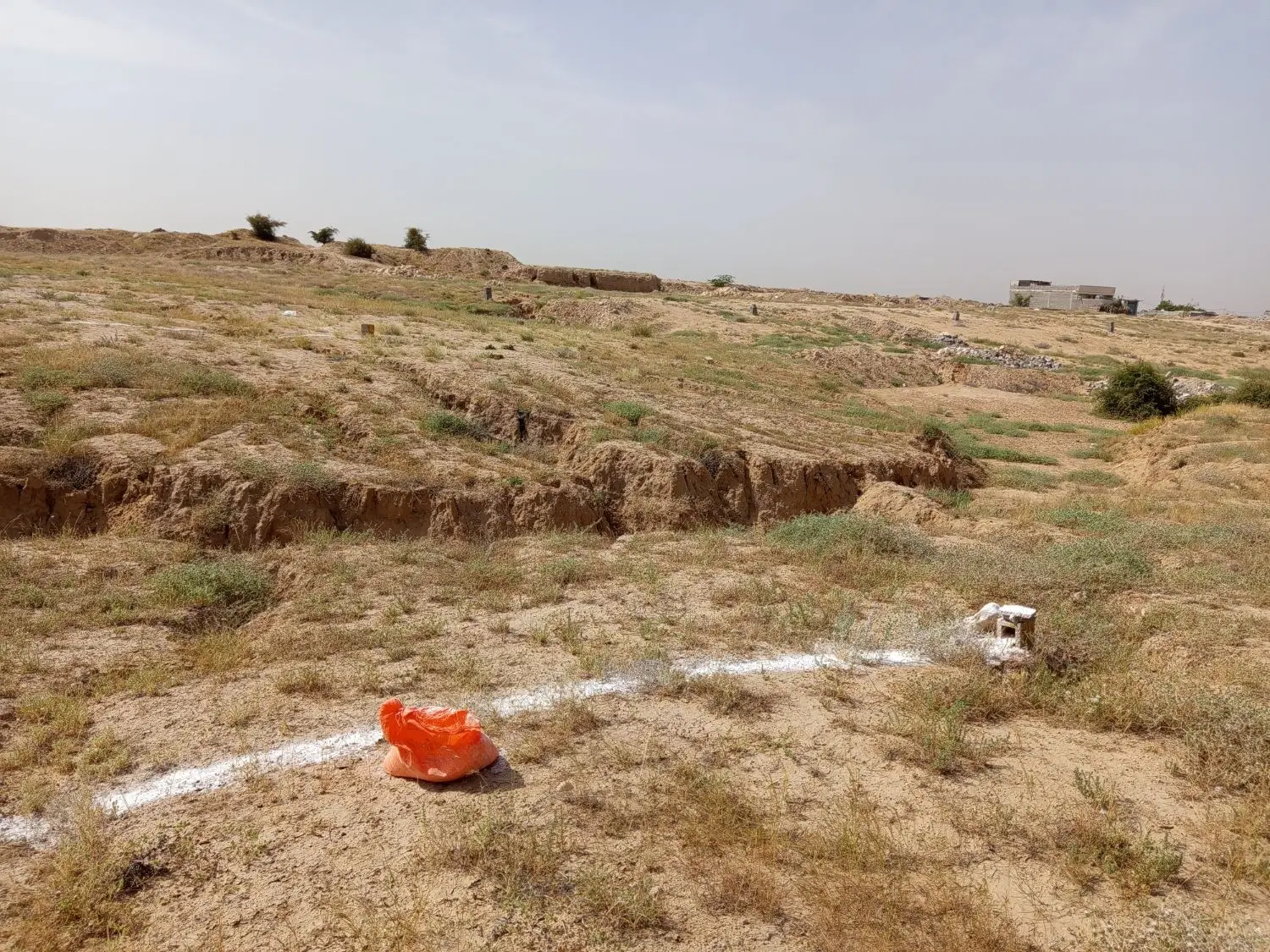 زمین