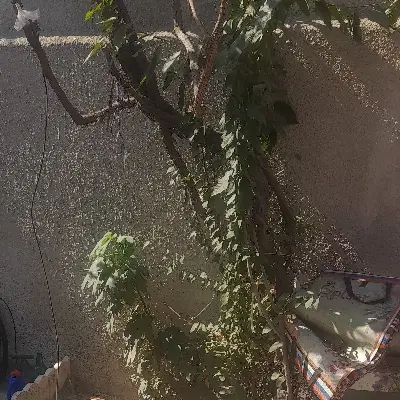 منزل مسکونی گلستان۲۰ دونیش بازسازی شده