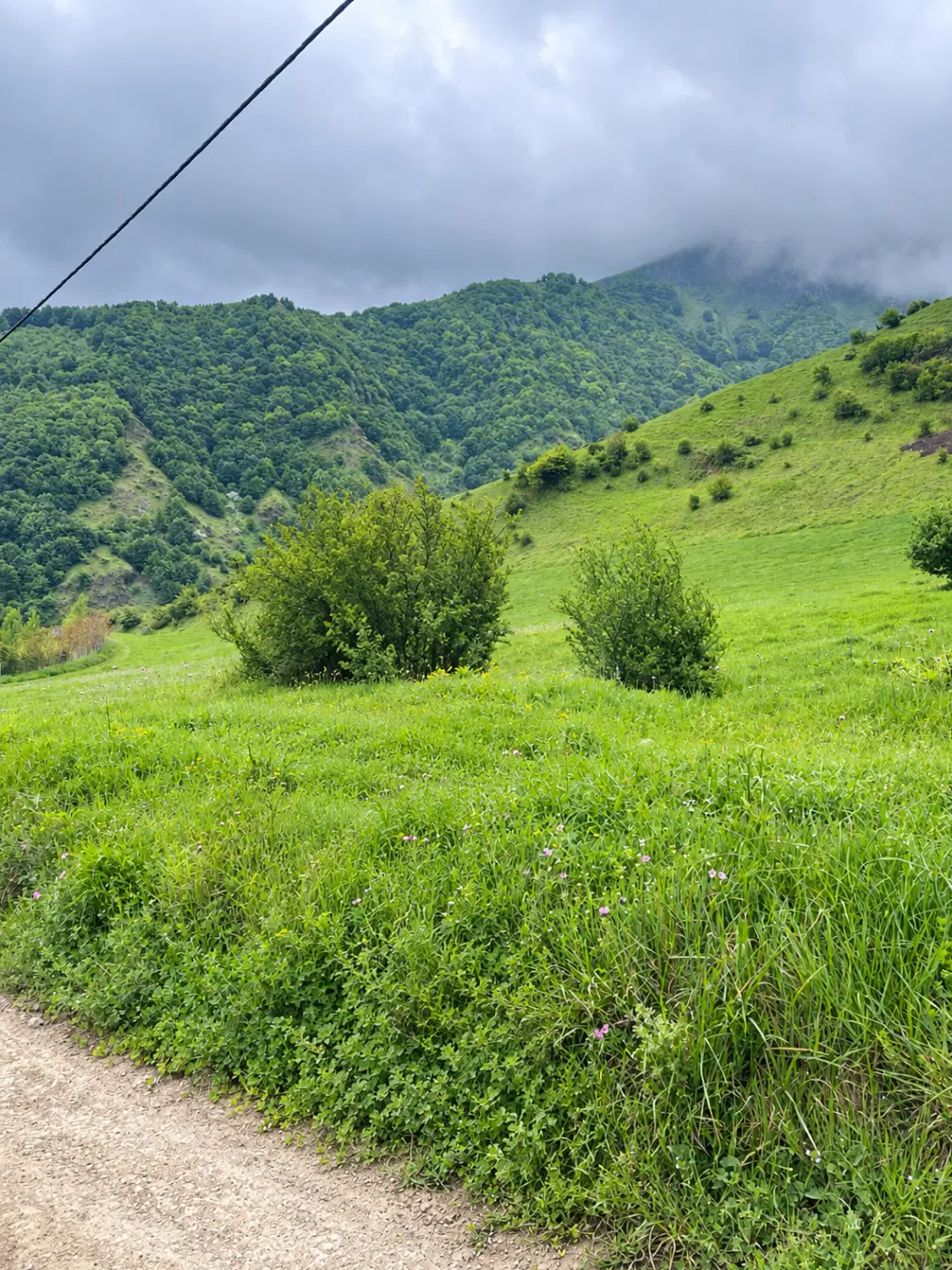 فروش زمین
