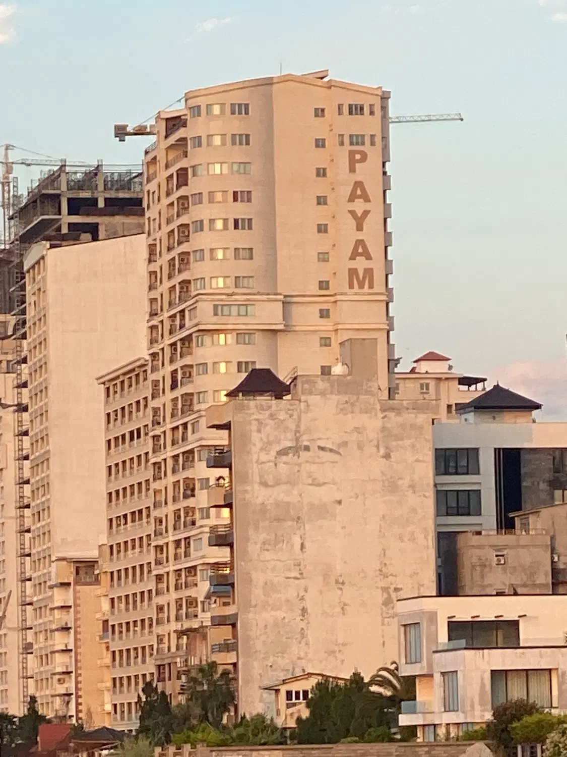 فروش_گرگانجدید_شکار شکار