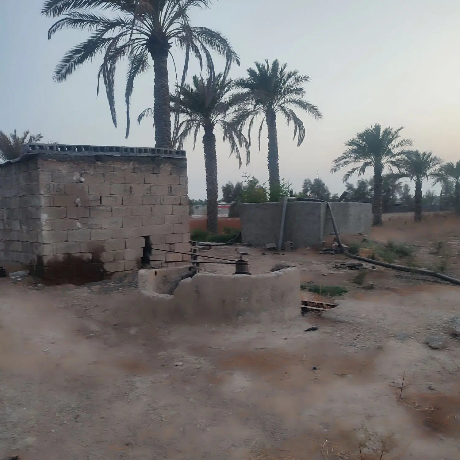 زمین کشاورزی
