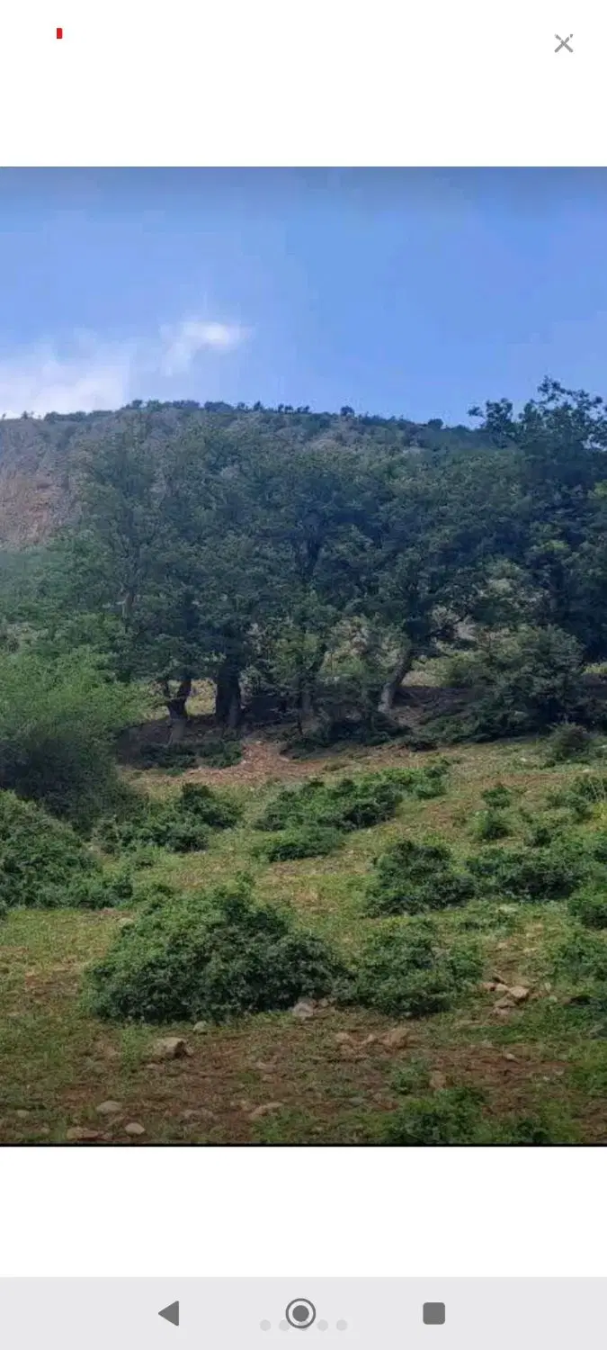 زمین ۷۰۰متری در طالقان