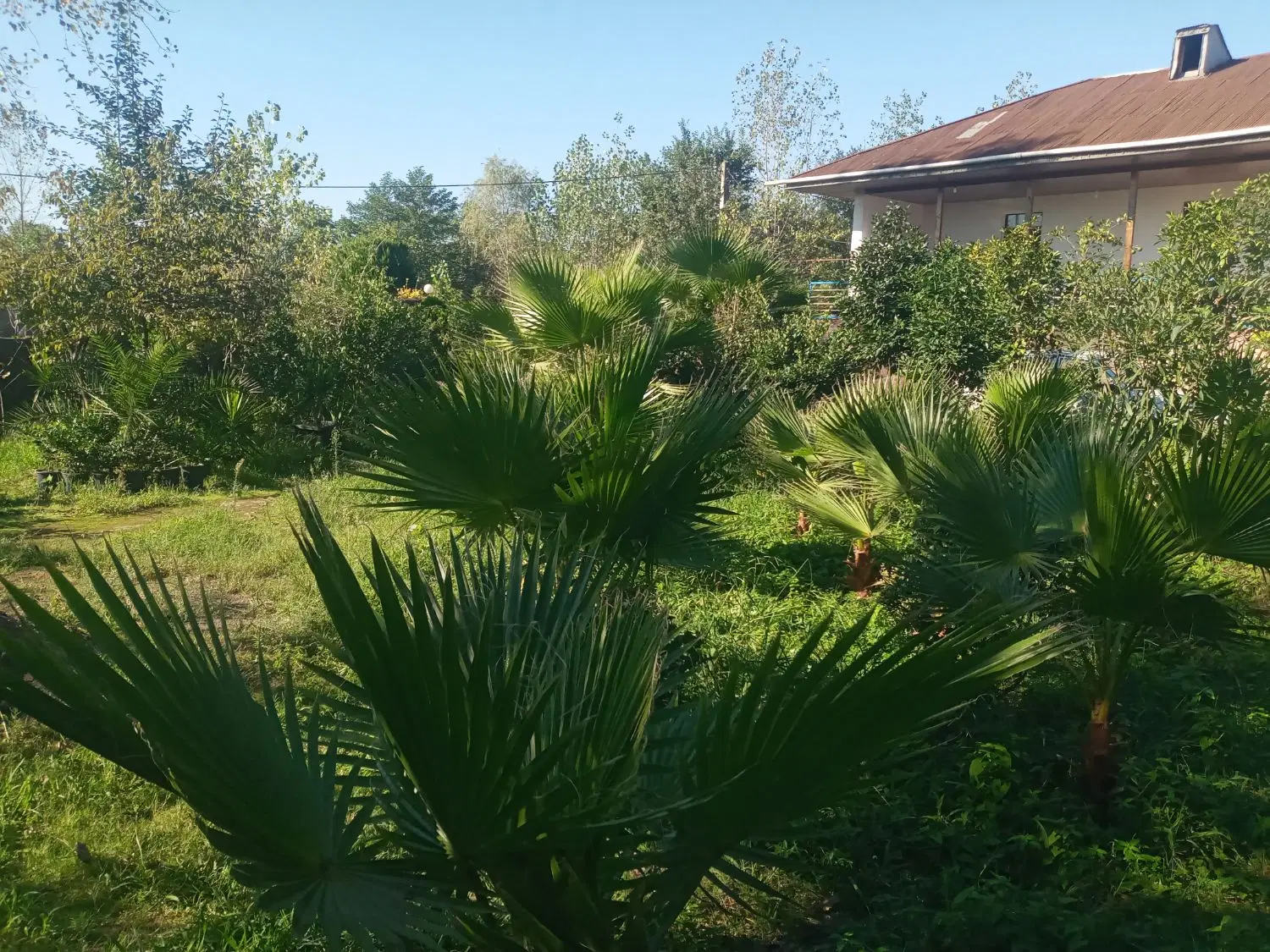 ۳۰۰زمین دربهترین نقطه