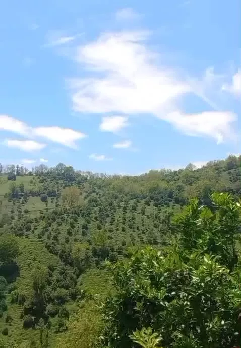 فروش زمین